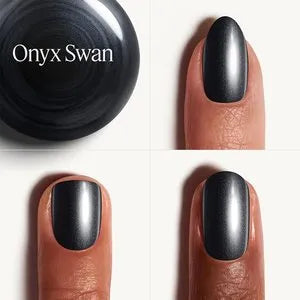 Onyx Swan