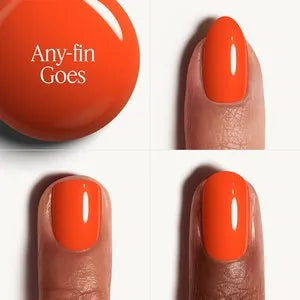 Any-Fin Goes