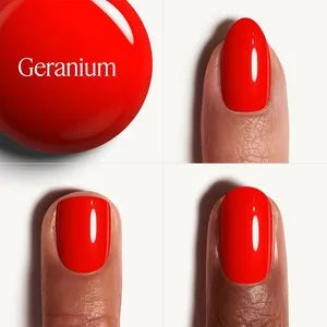 Geranium