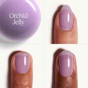 Orchid Jelly