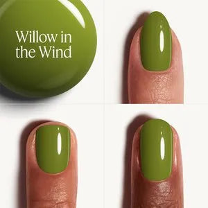 Willow In The Wind